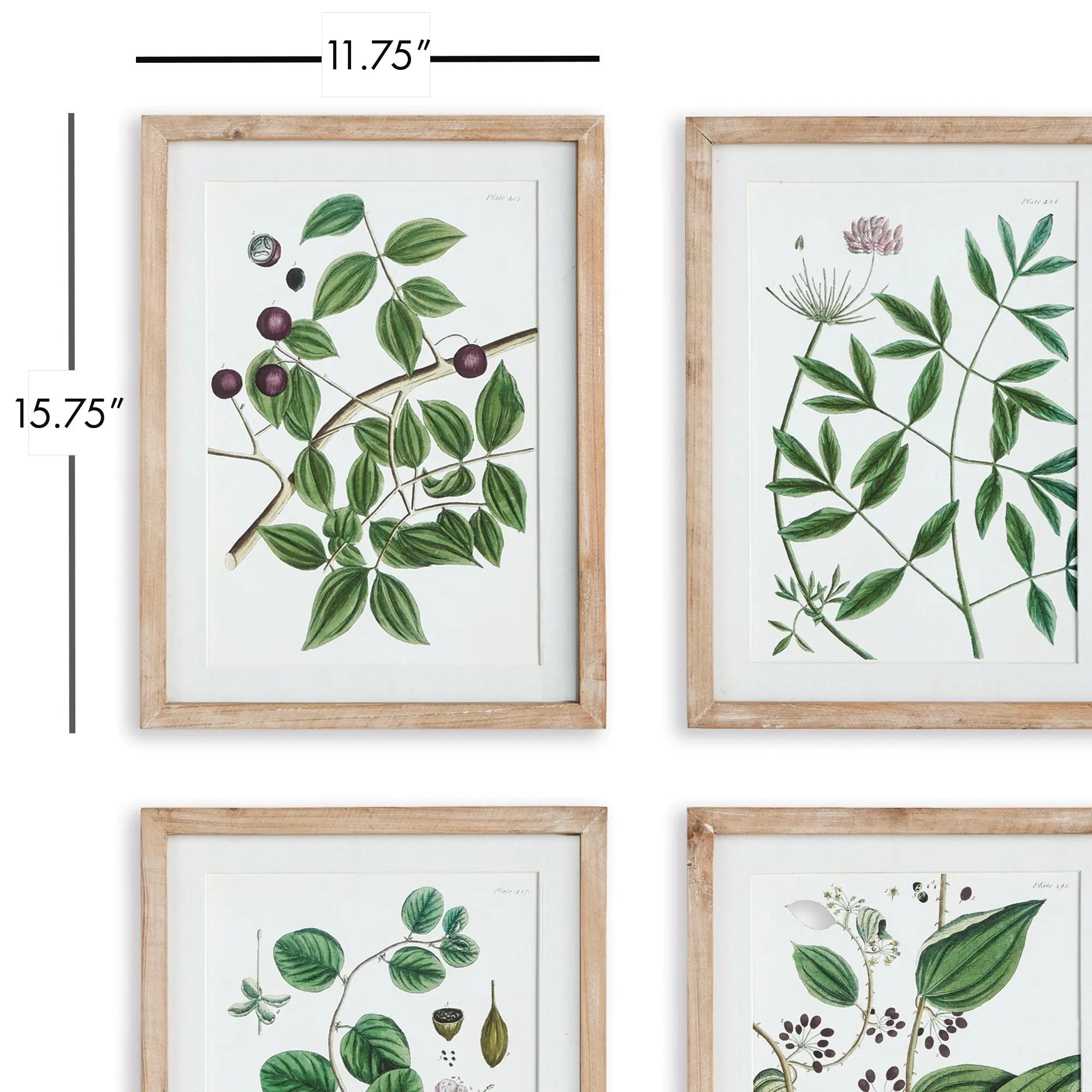 VERDANT BRANCH PRINTS, SET OF 4 Villa Decor & Design