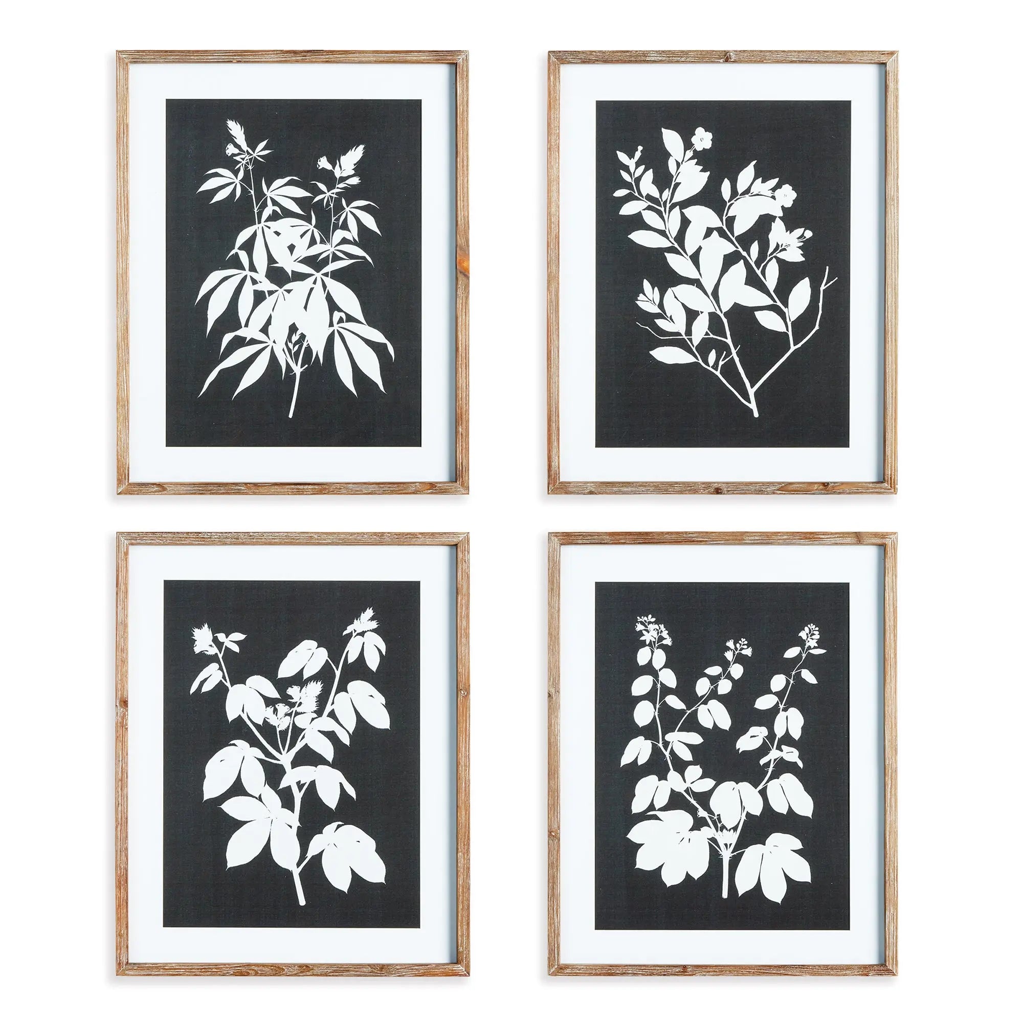 MONOCHROME BOTANICAL PRINTS, SET OF 4 Villa Decor & Design