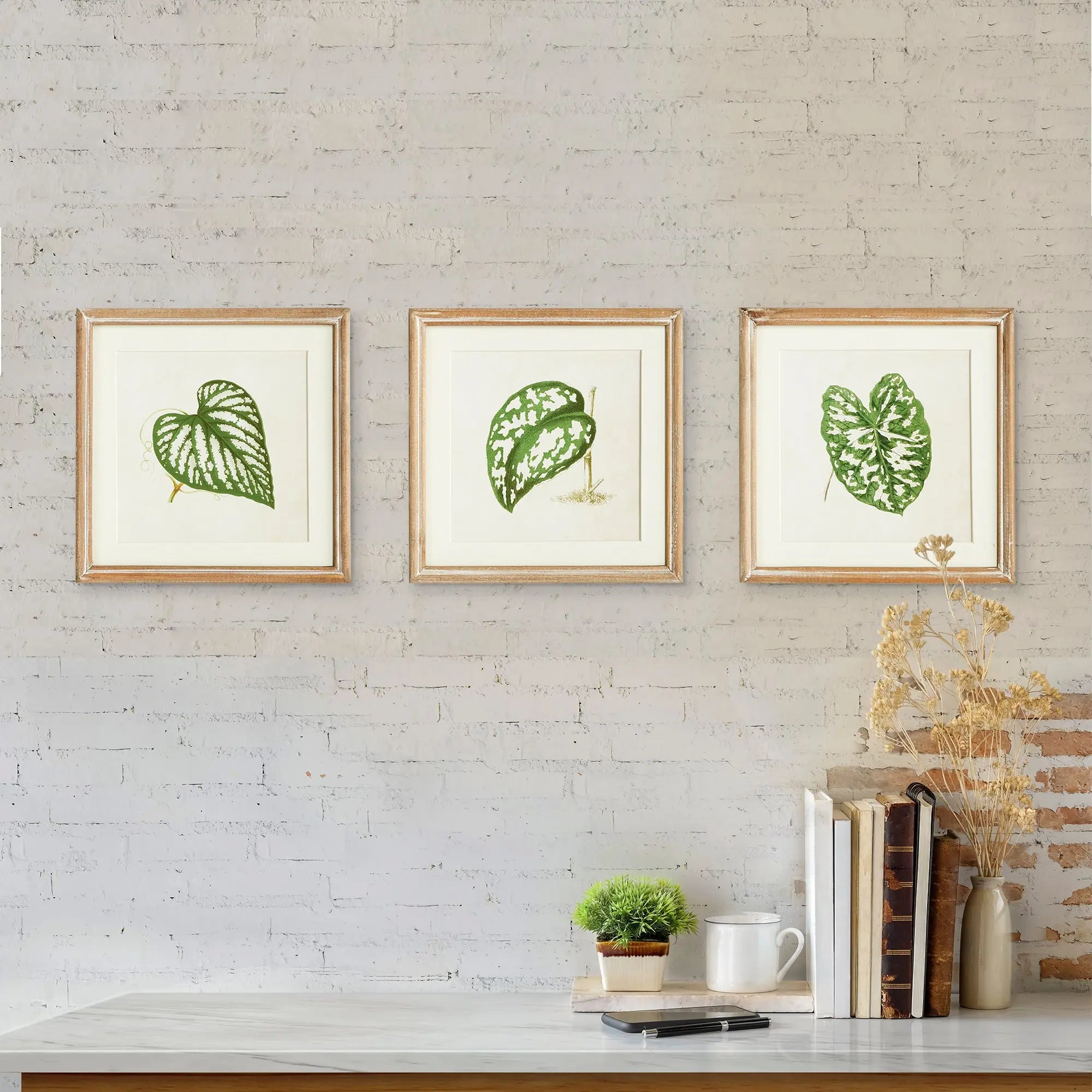 LEAF CUTTINGS PETITE PRINTS, SET OF 3 Villa Decor & Design