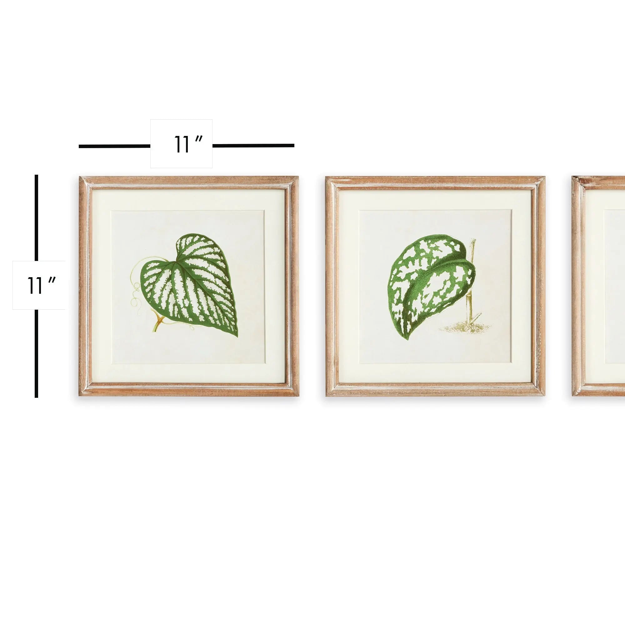 LEAF CUTTINGS PETITE PRINTS, SET OF 3 Villa Decor & Design