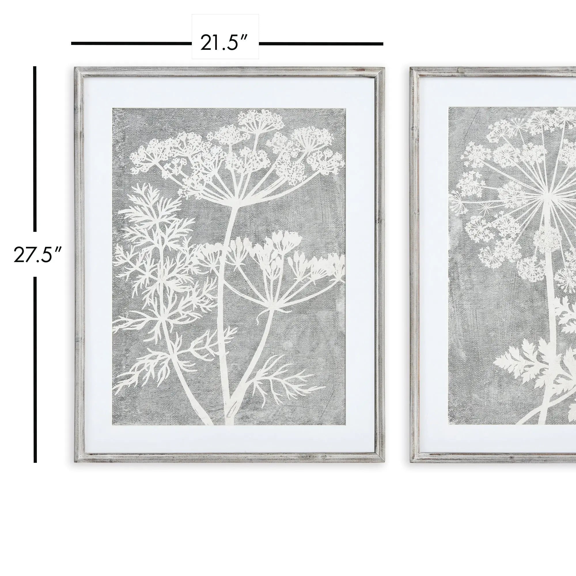 BLOOMING QUEEN ANNE'S LACE PRINTS, SET OF 2 Villa Decor & Design