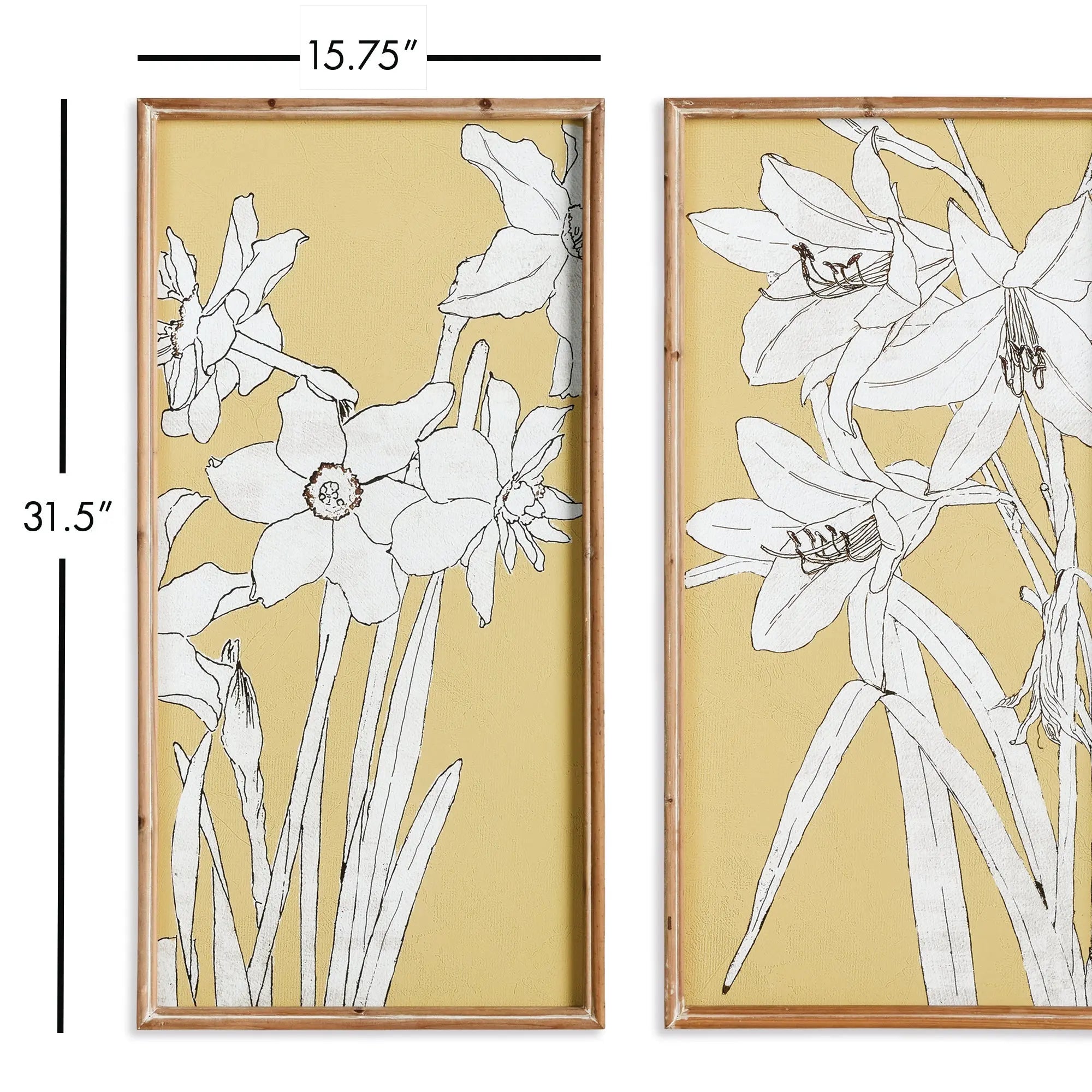 FLOWERING AMARYLLIS PRINTS, SET OF 2 Villa Decor & Design