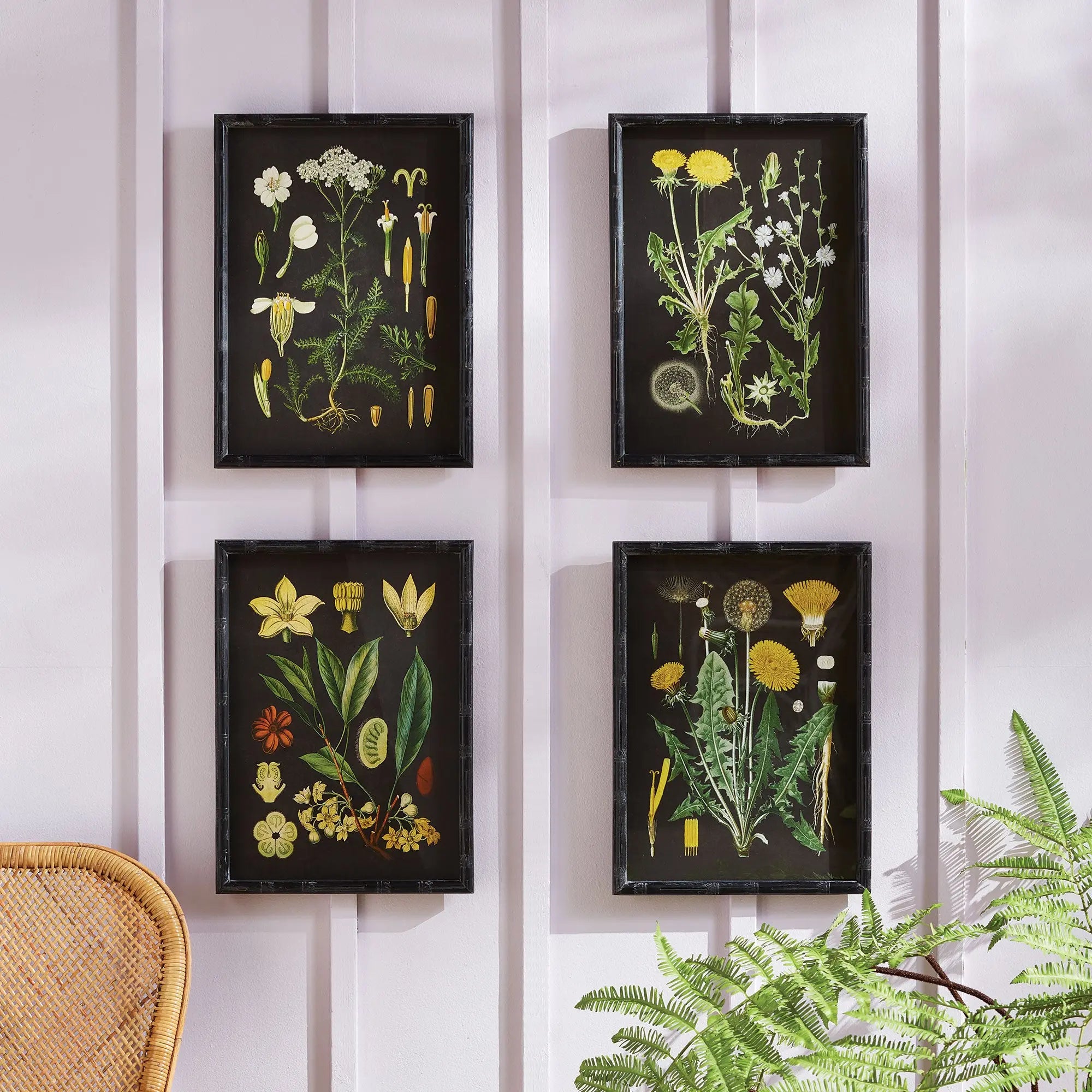GOLDEN BOTANICAL STUDY, SET OF 4 Villa Decor & Design
