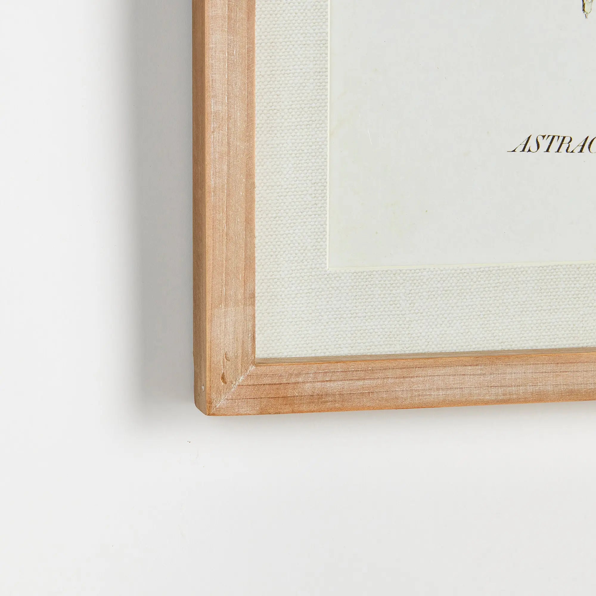 MID-SUMMER BLOOMS PRINTS, SET OF 6 Villa Decor & Design