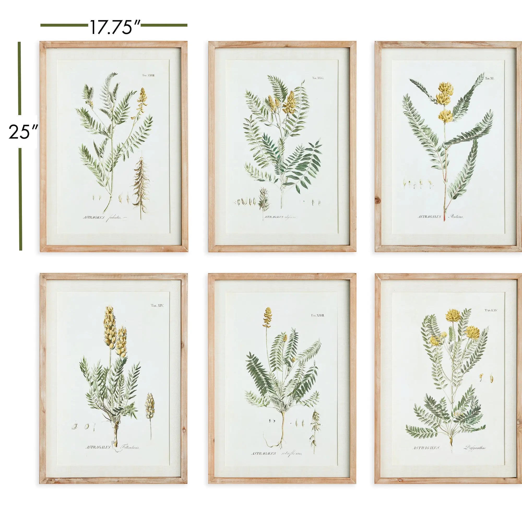 MID-SUMMER BLOOMS PRINTS, SET OF 6 Villa Decor & Design