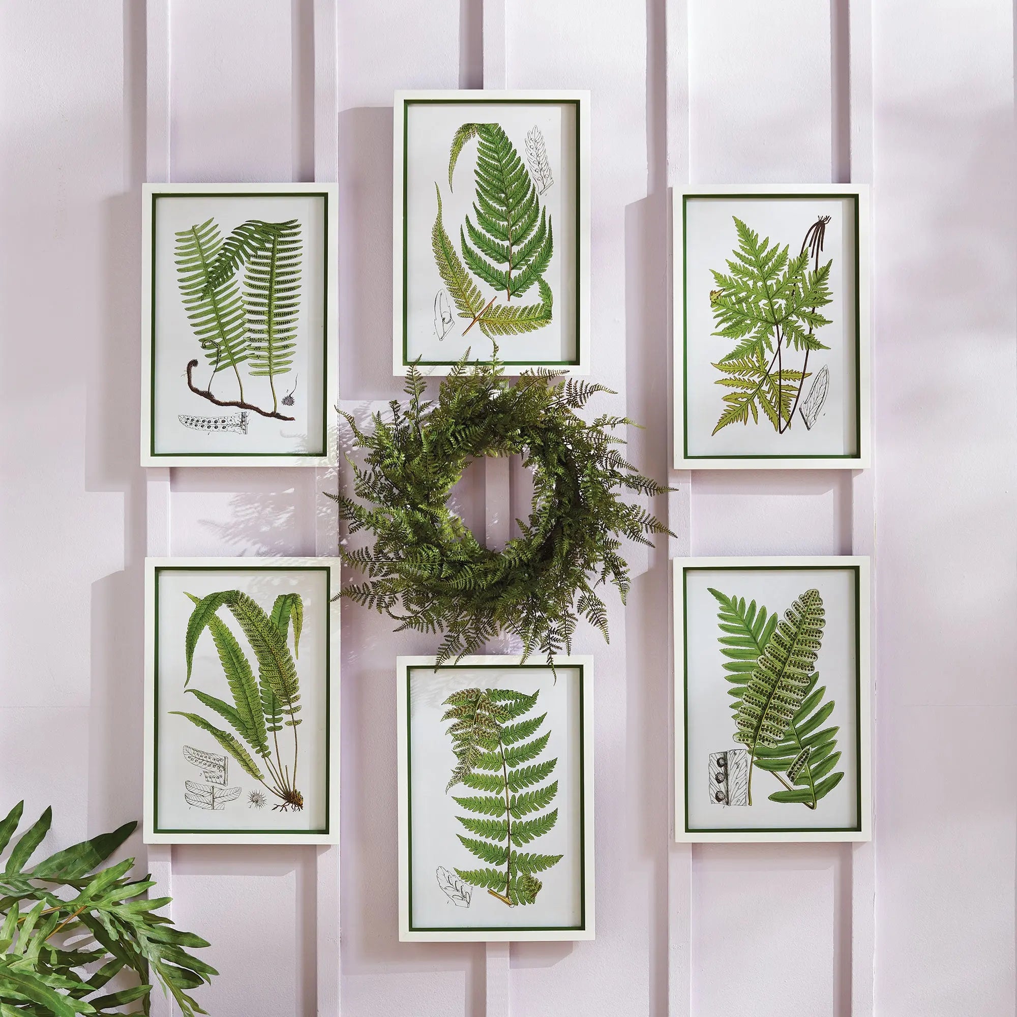 LAYERED FERN PRINTS, SET OF 6 Villa Decor & Design