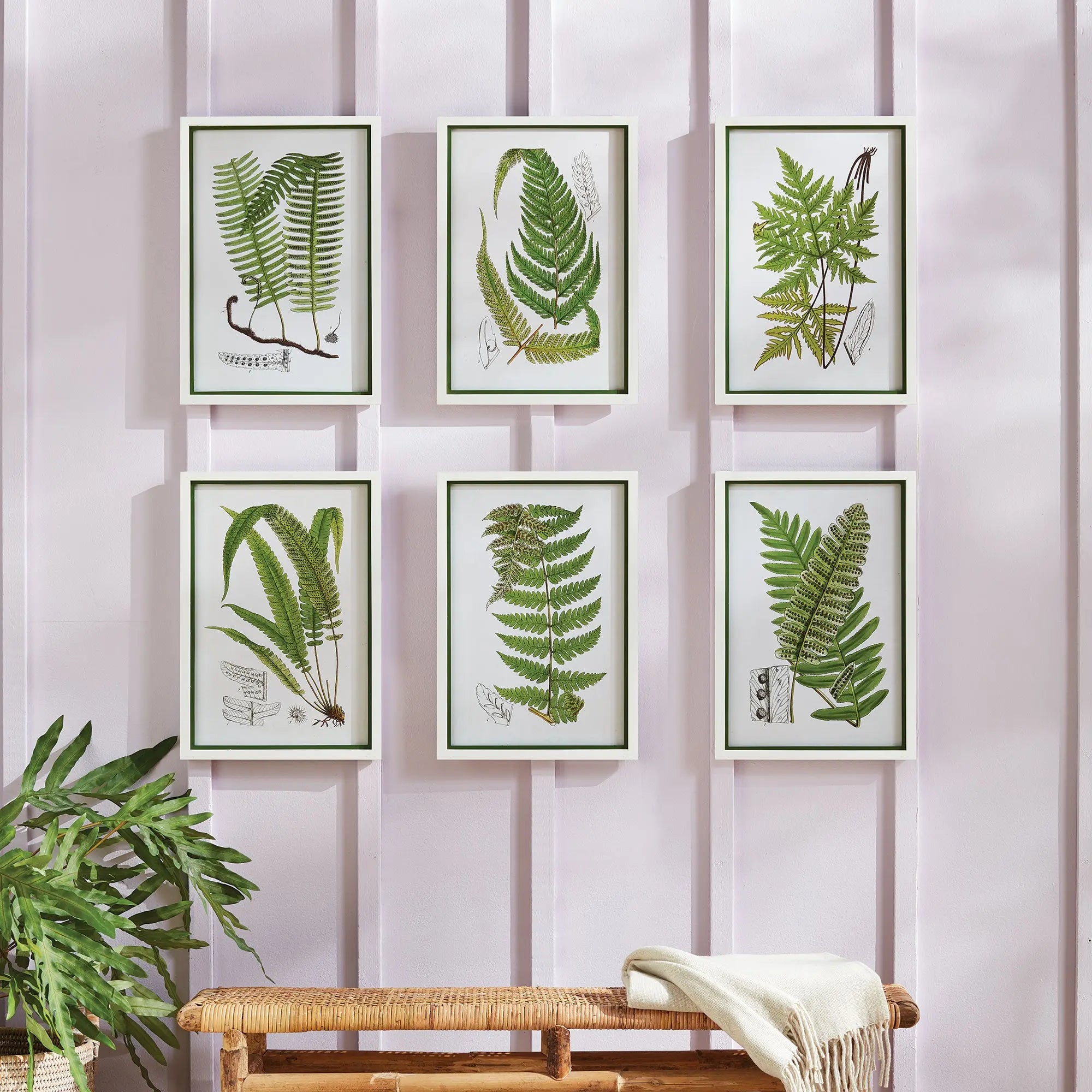 LAYERED FERN PRINTS, SET OF 6 Villa Decor & Design