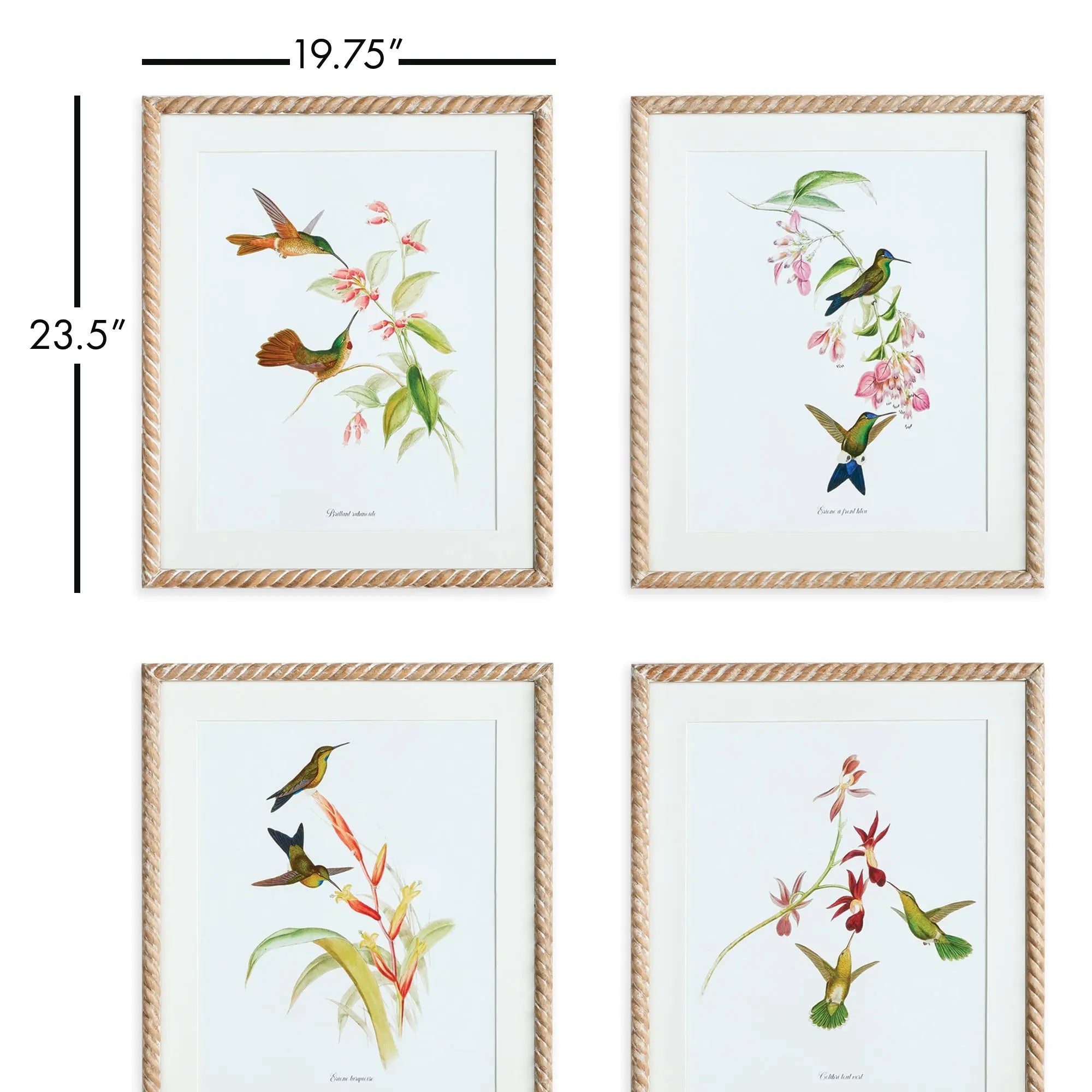 PLAYFUL HUMMINGBIRD PRINTS, SET OF 4 Villa Decor & Design