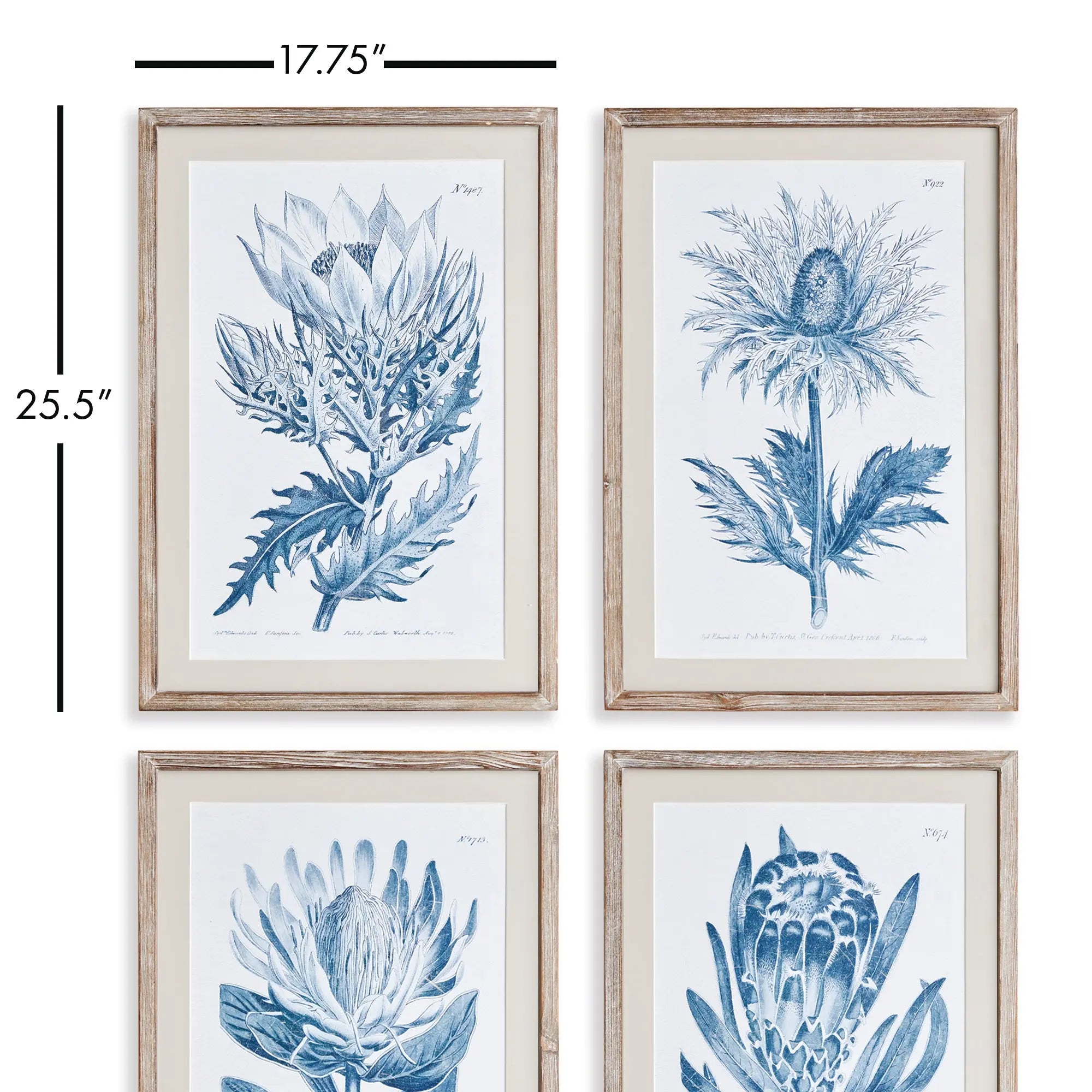 INDIGO PROTEA PRINTS, SET OF 4 Napa Home & Garden