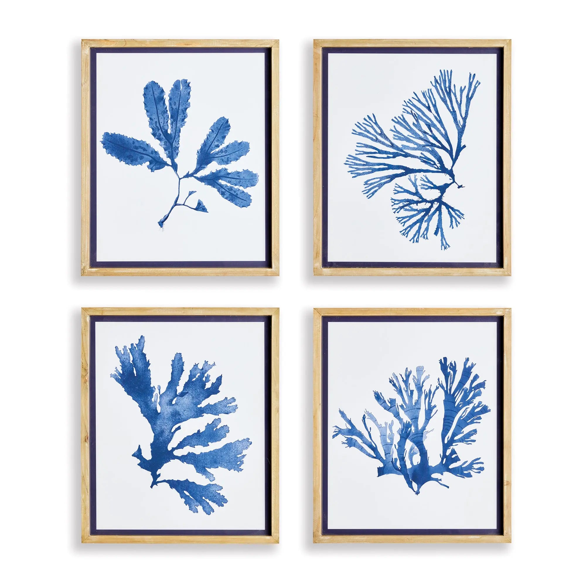 Indigo Seaweed Prints, SET OF 4