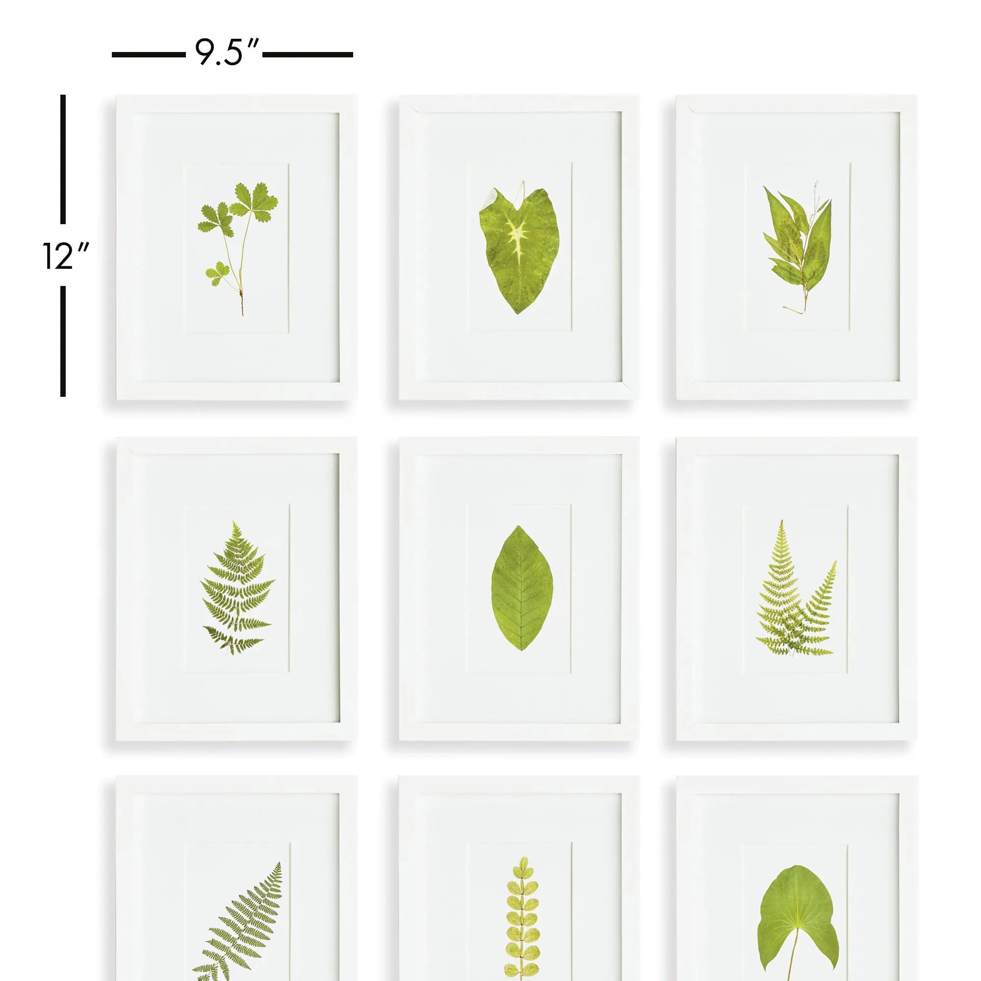 GREEN LEAF PETITE PRINTS, SET OF 9 Napa Home & Garden