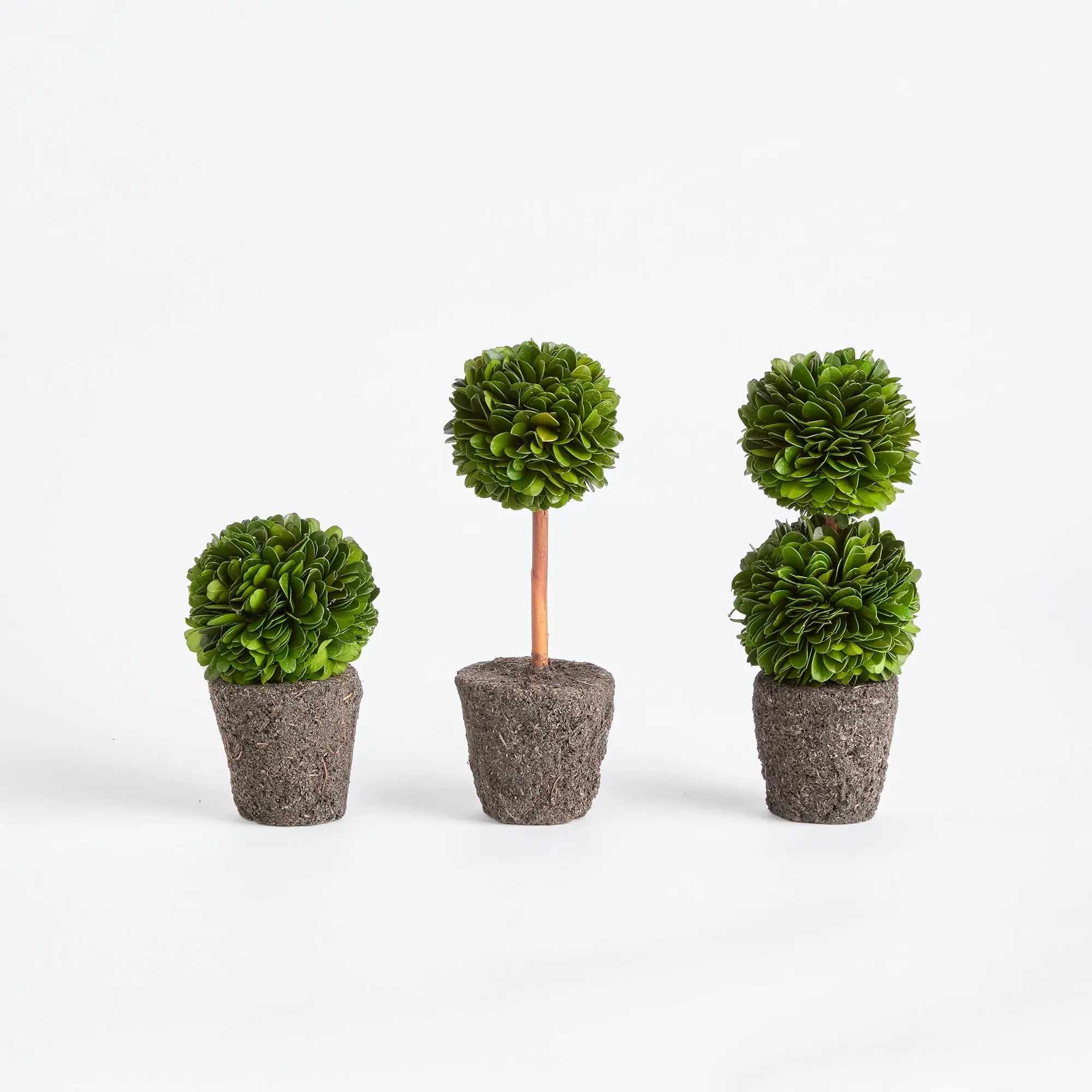 BOXWOOD MINI TOPIARY DROP-INS, SET OF 3 Villa Decor & Design