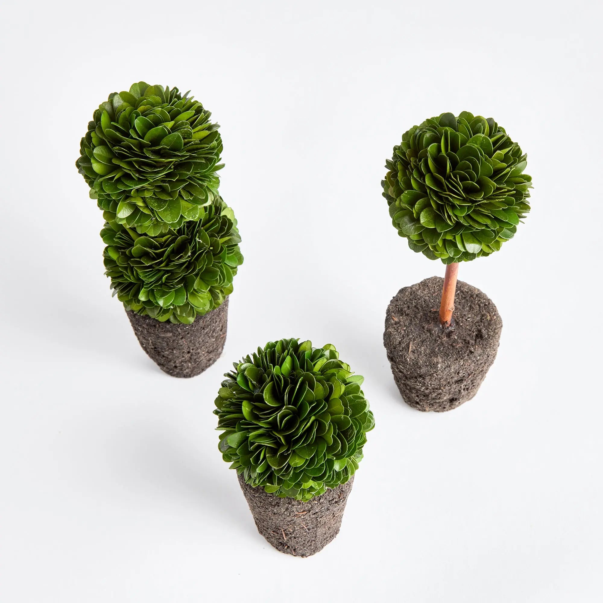 BOXWOOD MINI TOPIARY DROP-INS, SET OF 3 Villa Decor & Design