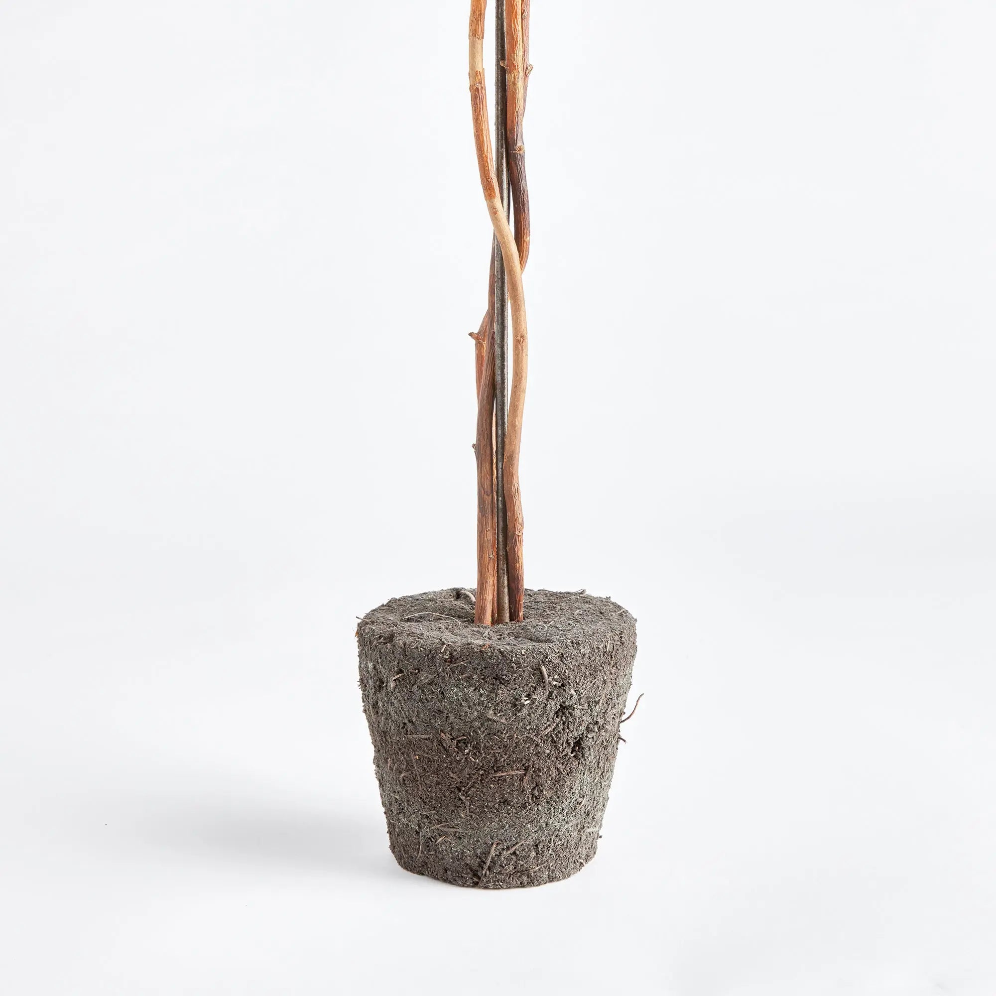 BOXWOOD SINGLE SPHERE TOPIARY DROP-IN 24" Villa Decor & Design