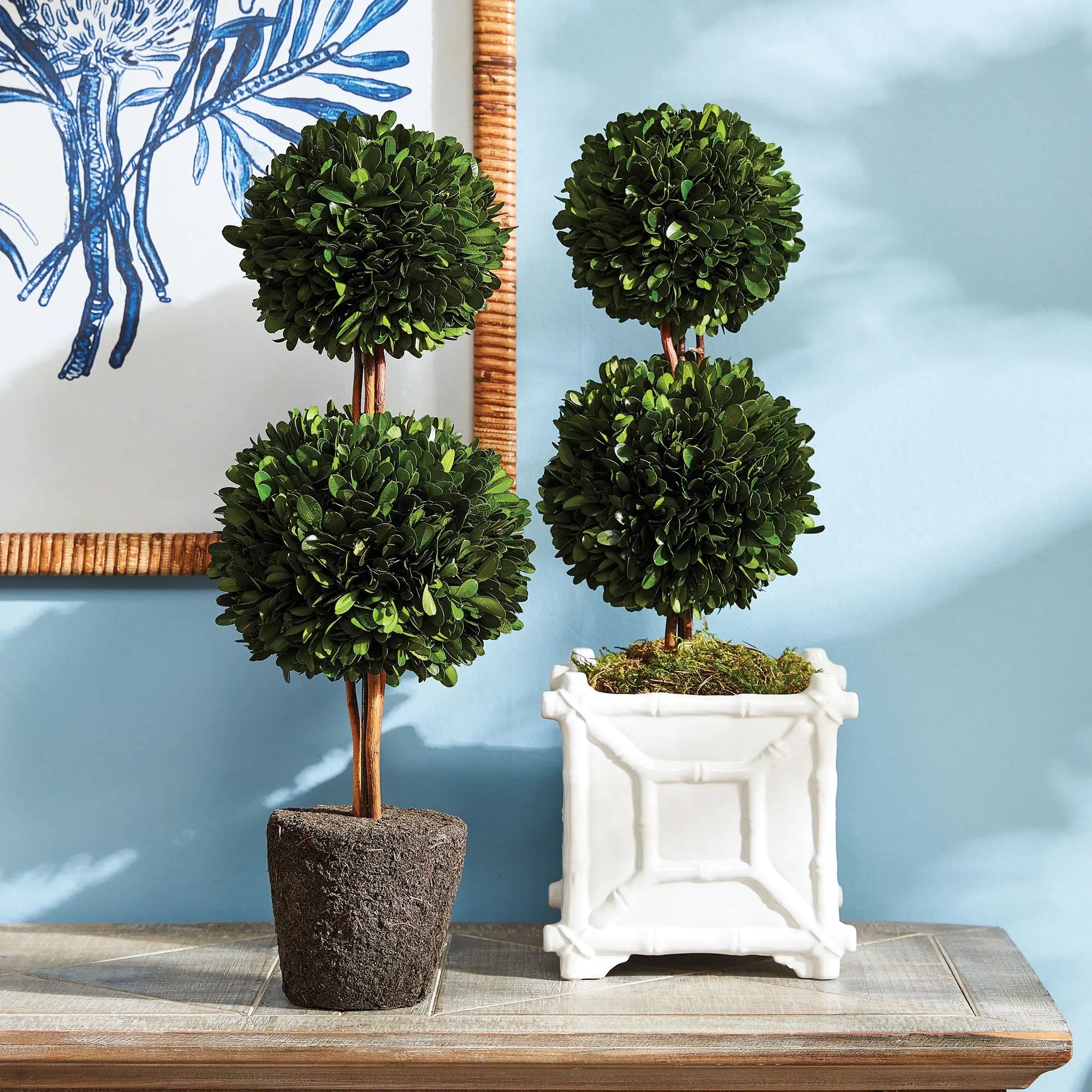 Boxwood Double Sphere Topiary DROP-IN 20" - Villa Decor & Design