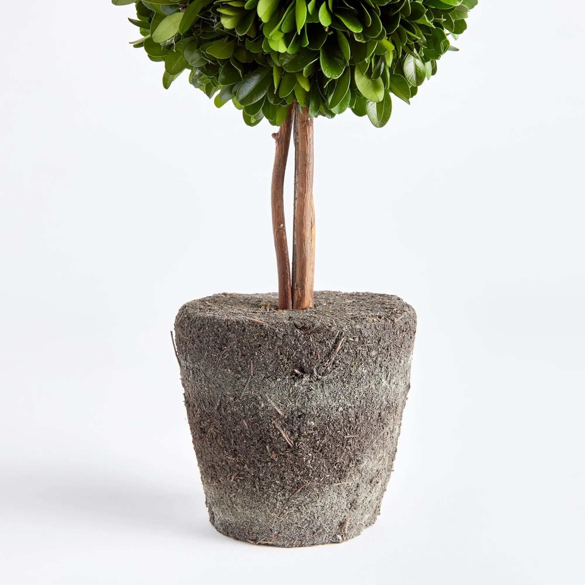 Boxwood Double Sphere Topiary DROP-IN 20" - Villa Decor & Design