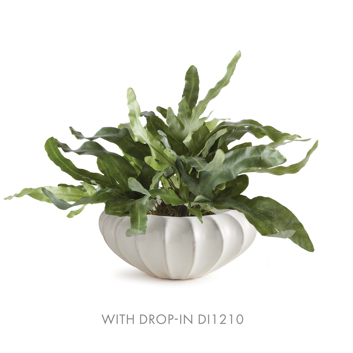 Blecklyn Decorative Bowl Large