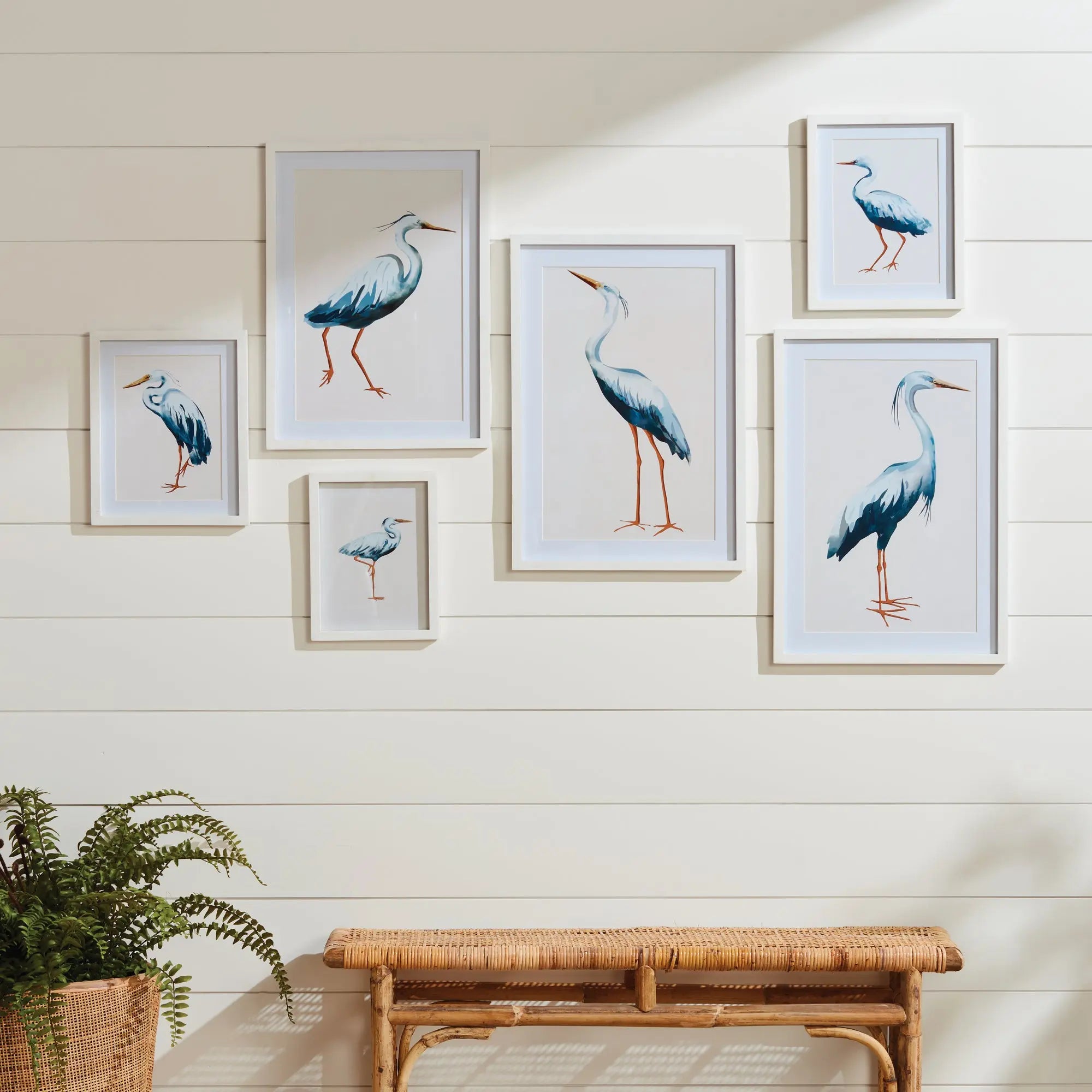 A coordinated 6-piece gallery wall set featuring various artistic prints of blue herons in white matted fir wood frames, arranged in a professional salon-style layout.