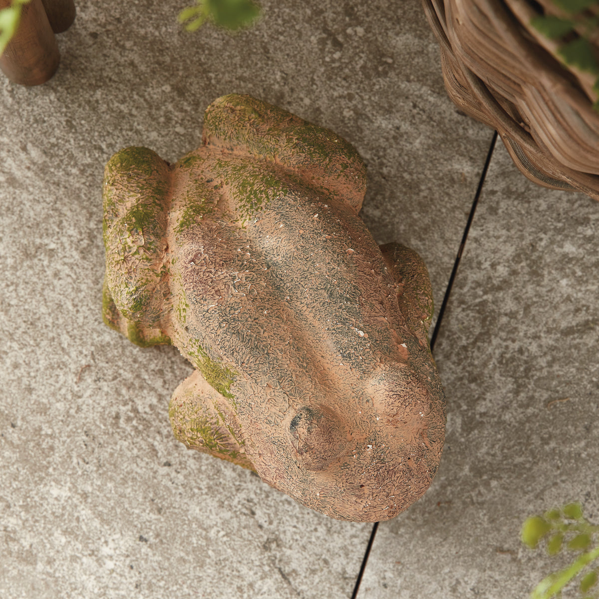 Weathered Garden Frog