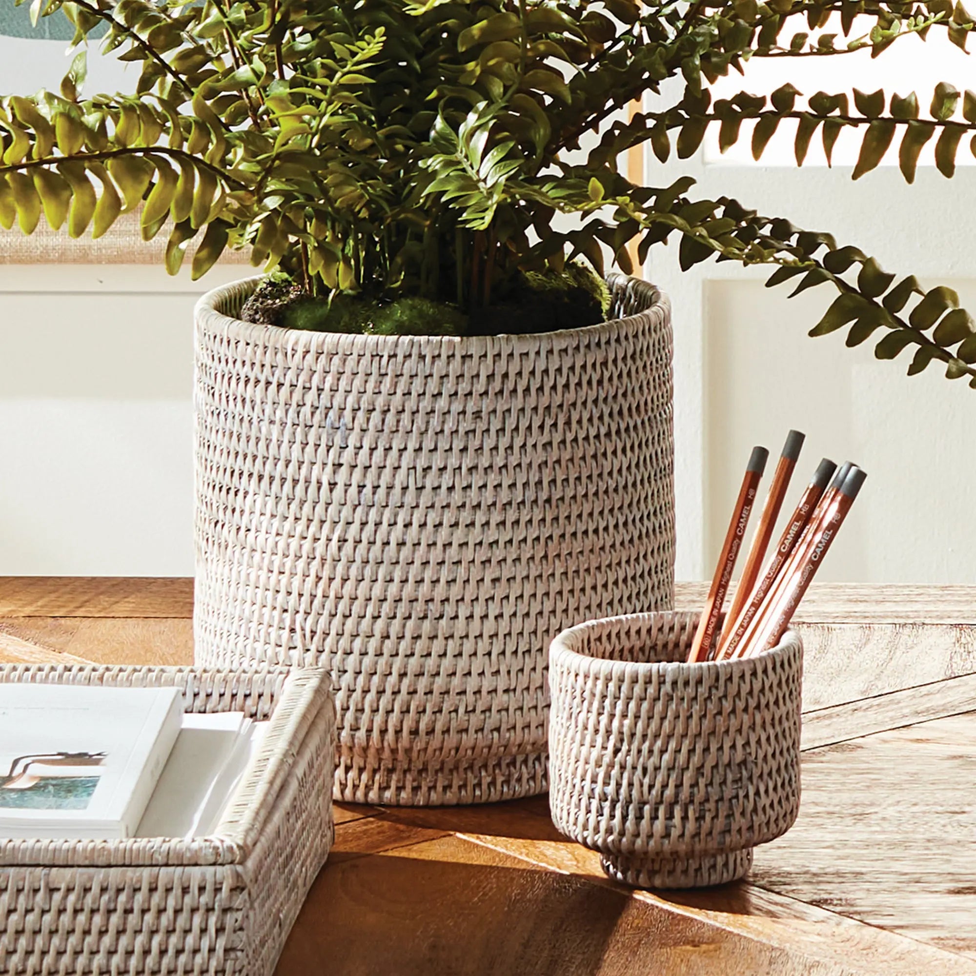 Burma Rattan Cachepots Small, SET OF 2