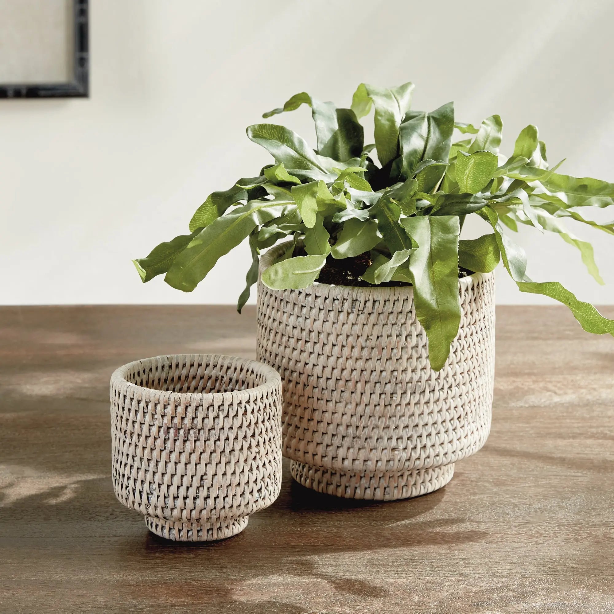 Burma Rattan Cachepots Small, SET OF 2