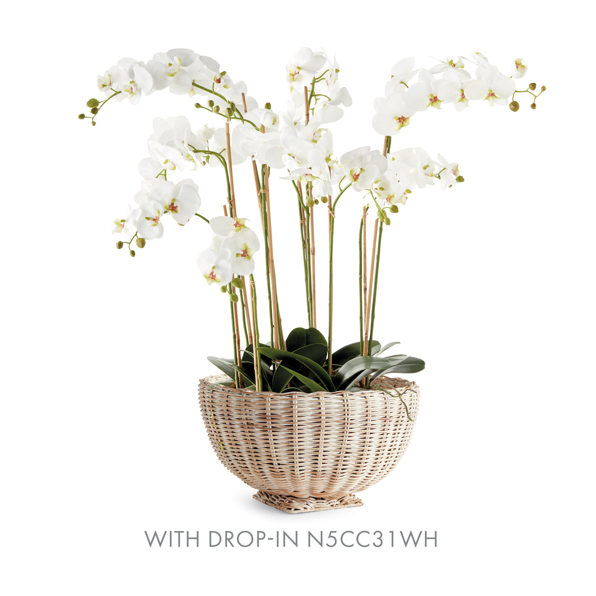 White orchids in a wicker basket on a white background