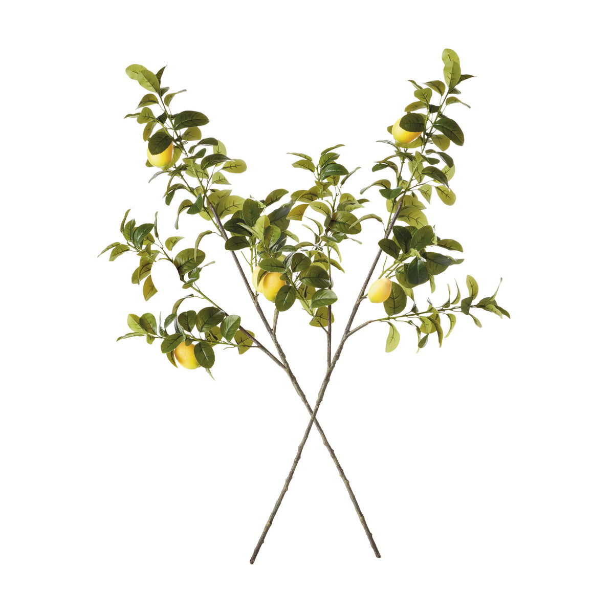 Faux Lemon Branches 43", Set of 2