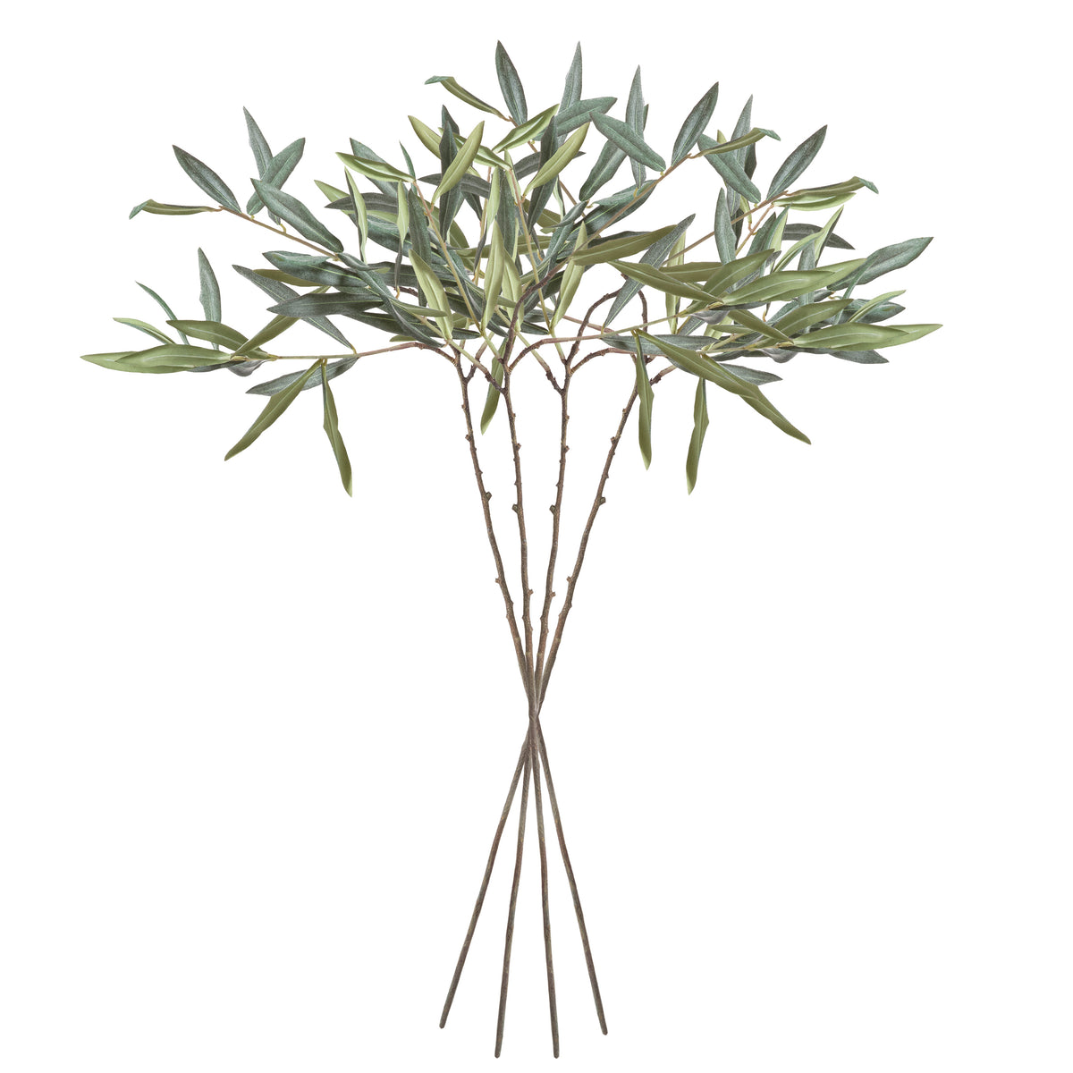 Olive Stems 30", Set of 4