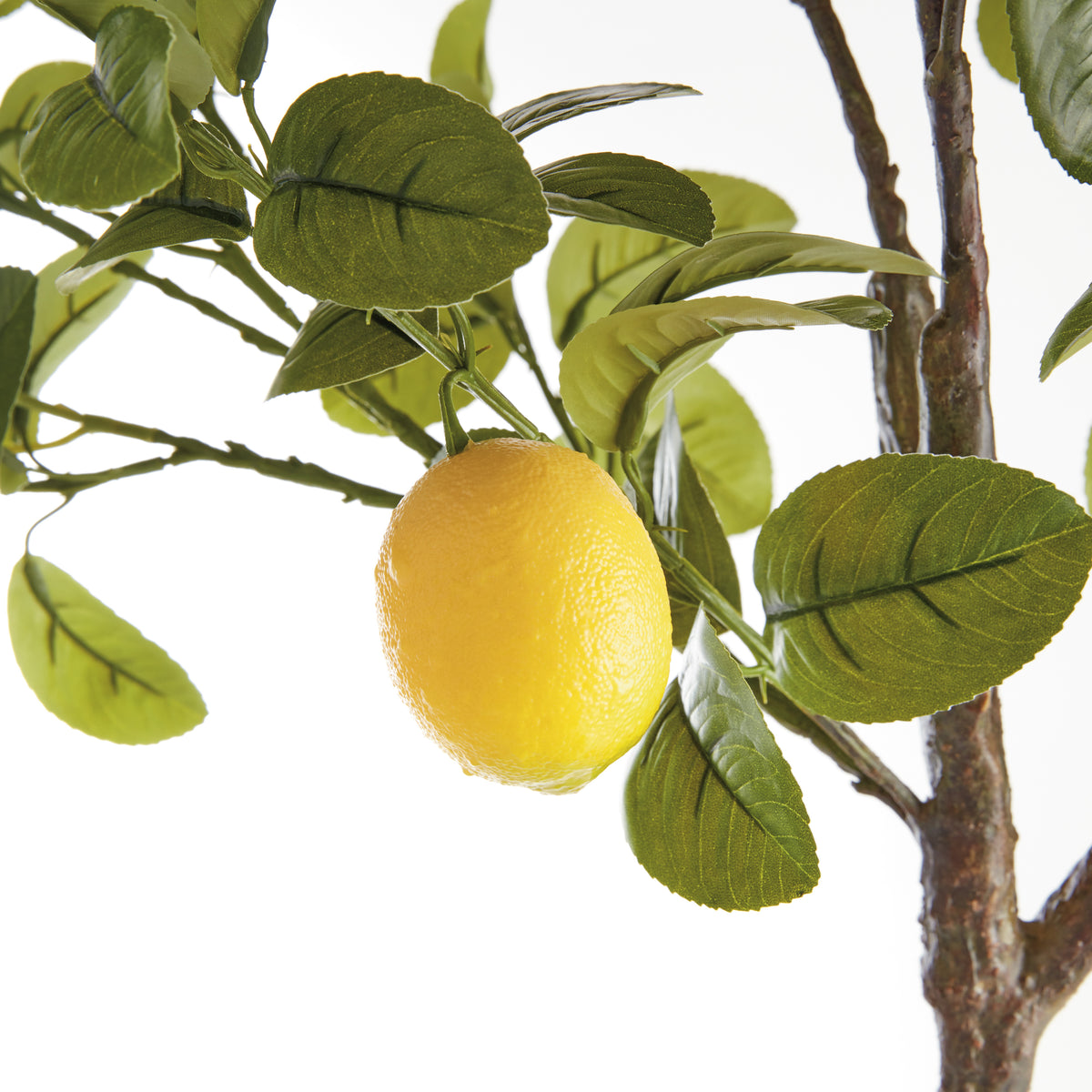 Faux Lemon Tree Drop-in 49"
