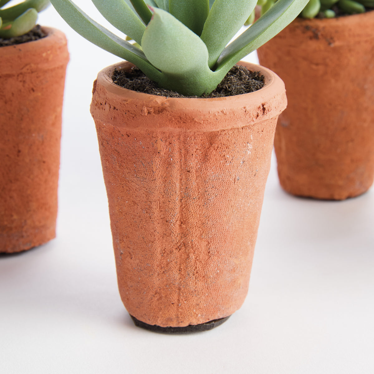 Potted Succulents 8.5", Set of 6