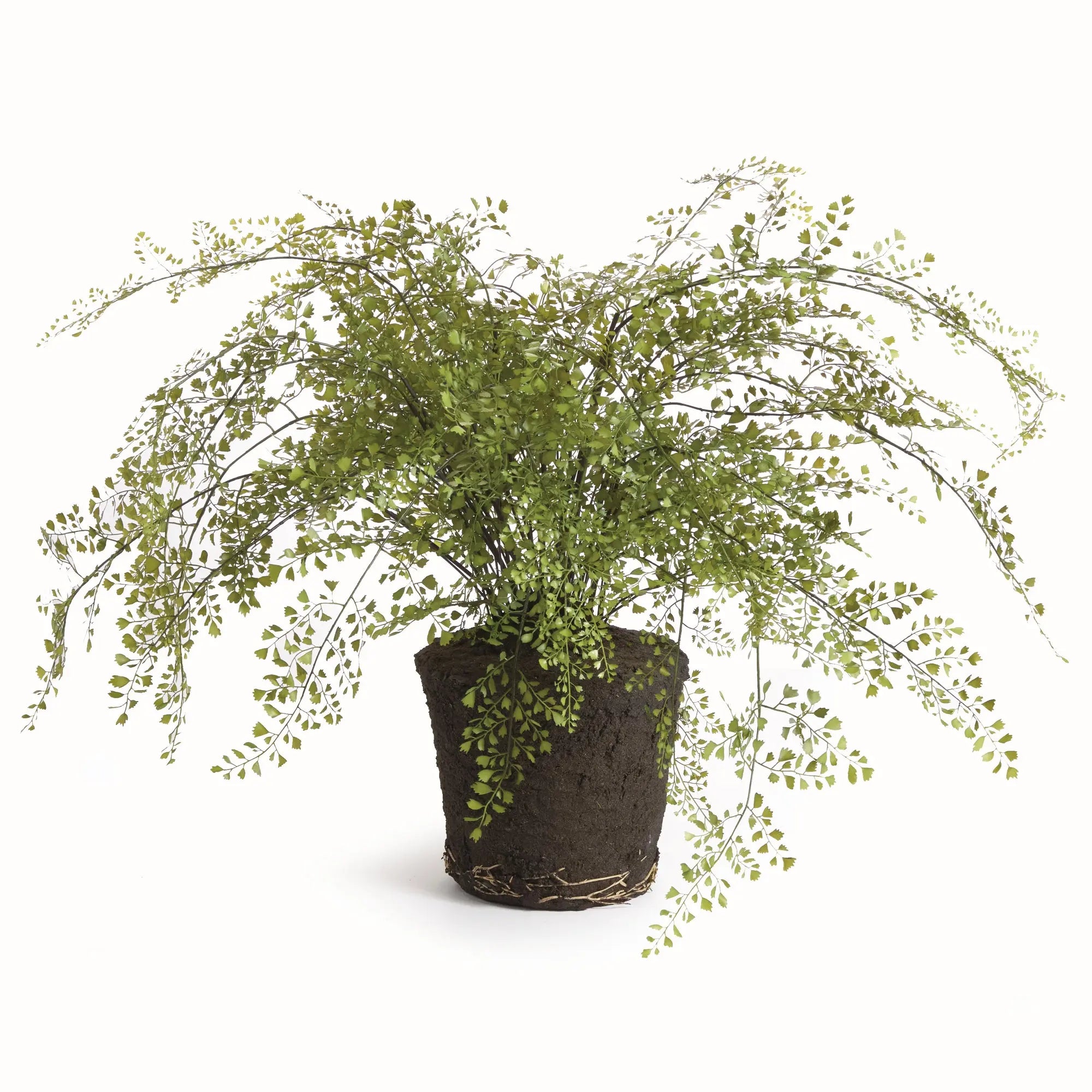 Maidenhair Drop-In - Realistic Faux Fern in 5 Sizes Napa Home & Garden
