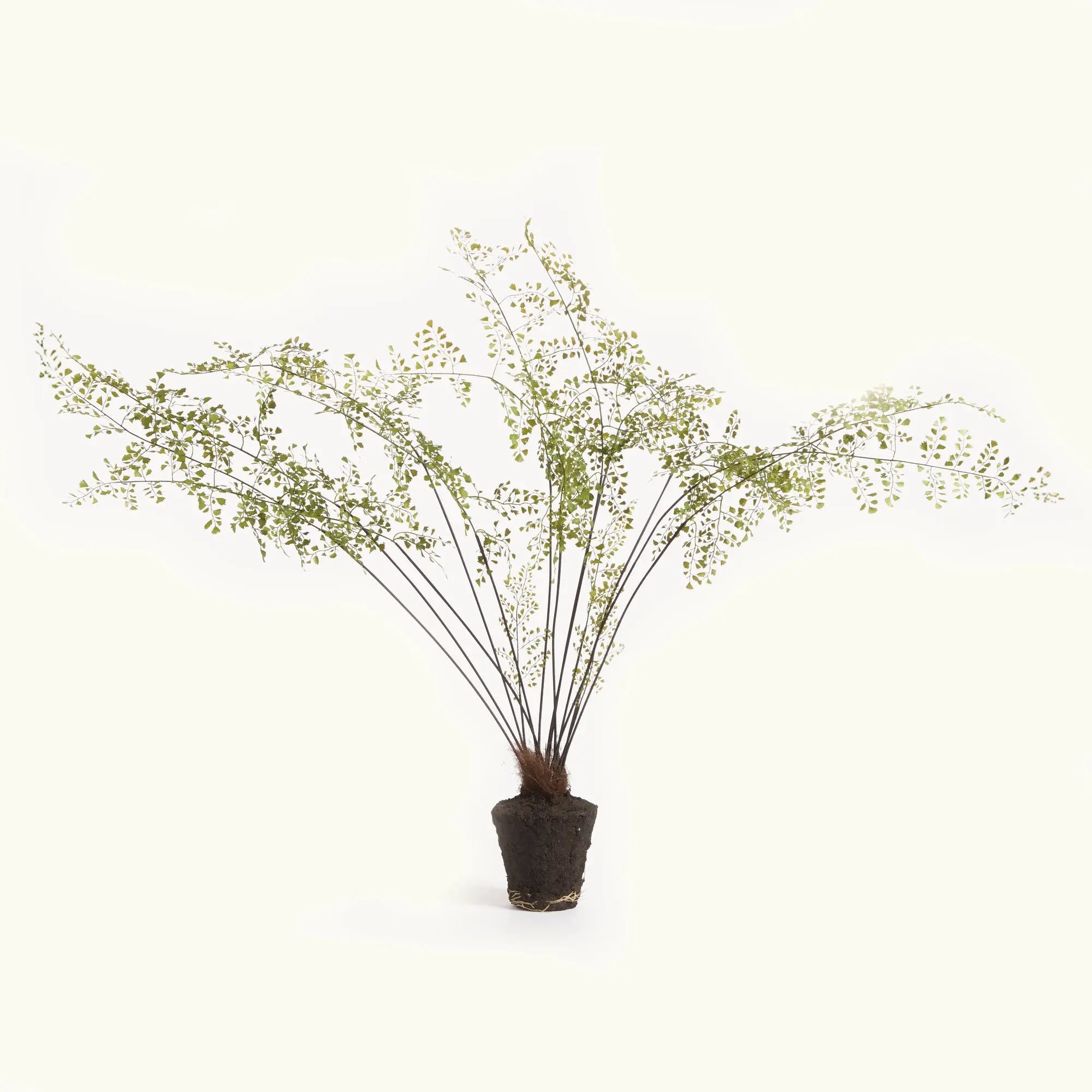 Maidenhair Drop-In - Realistic Faux Fern in 5 Sizes Napa Home & Garden