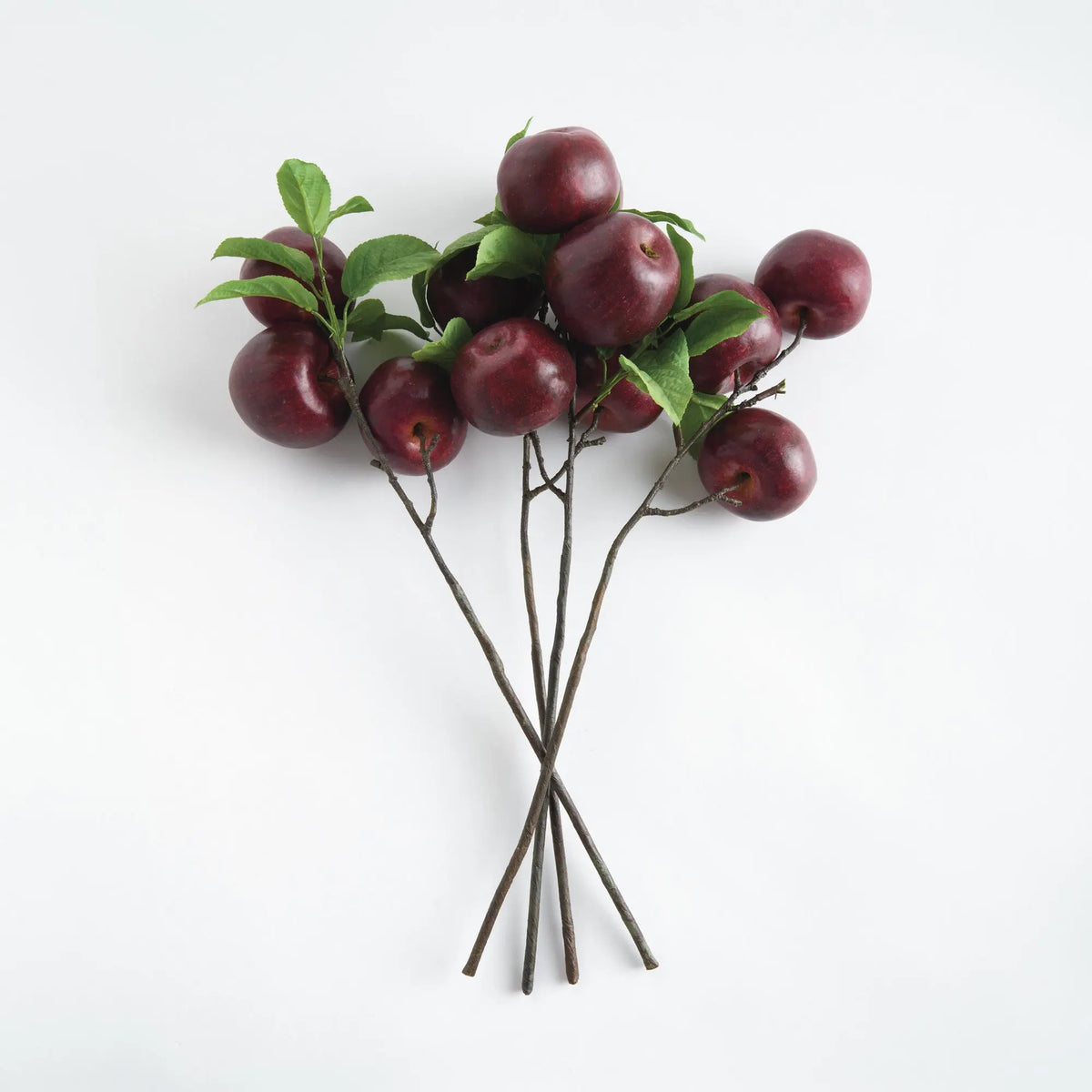 Apple Branches 20" Set of 4 – Red