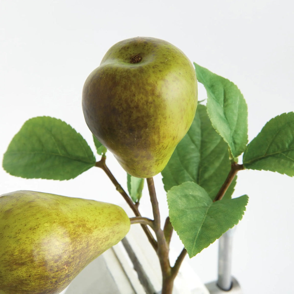 Pear Picks 9.5" Set of 4