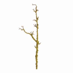 Lichen Branches 28", Set of 2