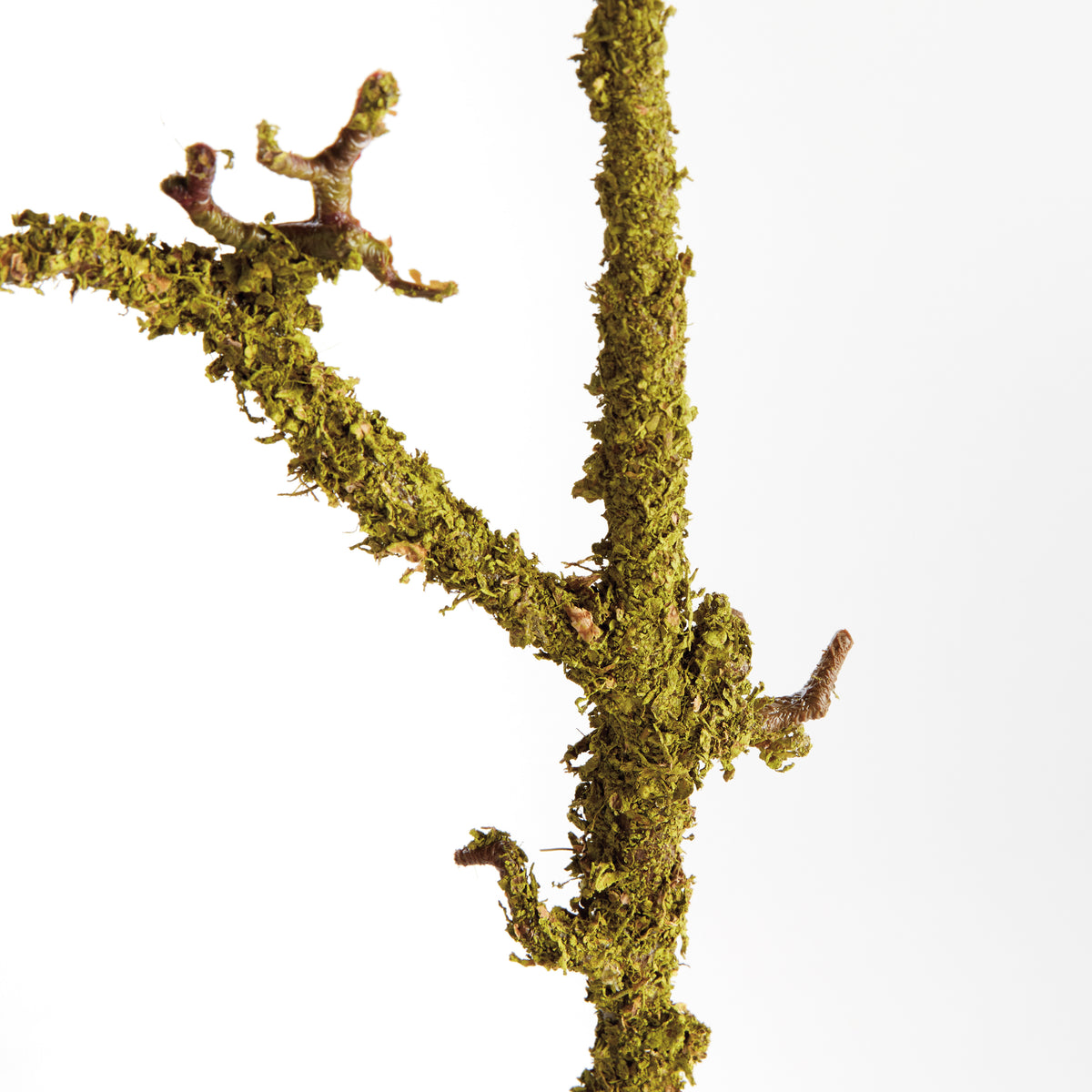 Lichen Branches 28", Set of 2