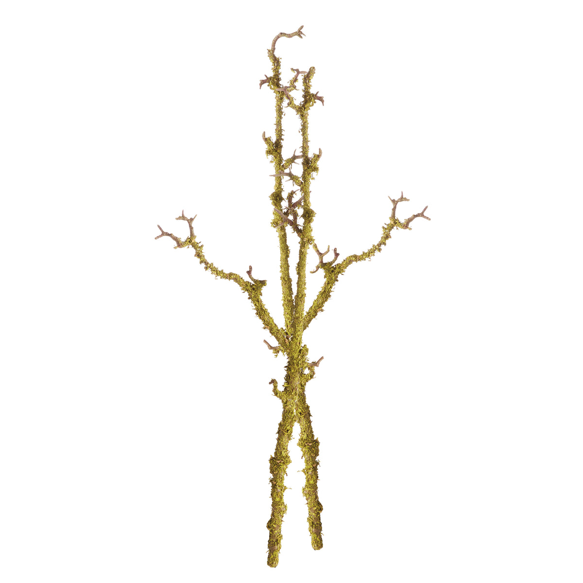 Lichen Branches 28", Set of 2