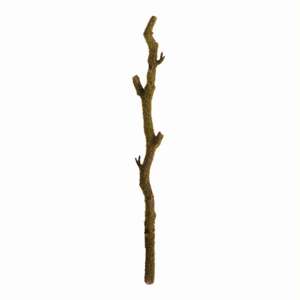 Moss Branches 24", Set of 2