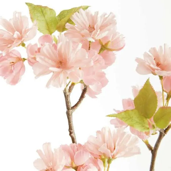 Double Cherry Blossom Stems - 28" Set of 6 Faux Florals - Villa Decor & Design
