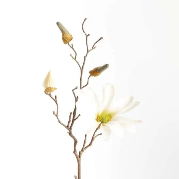 Star Magnolia Stems - Set of 6 Lifelike 18" Faux Blooms - Villa Decor & Design