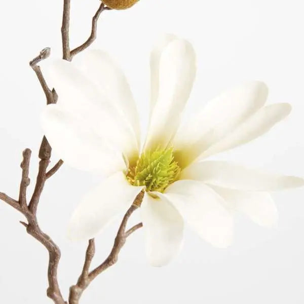 Star Magnolia Stems - Set of 6 Lifelike 18" Faux Blooms - Villa Decor & Design