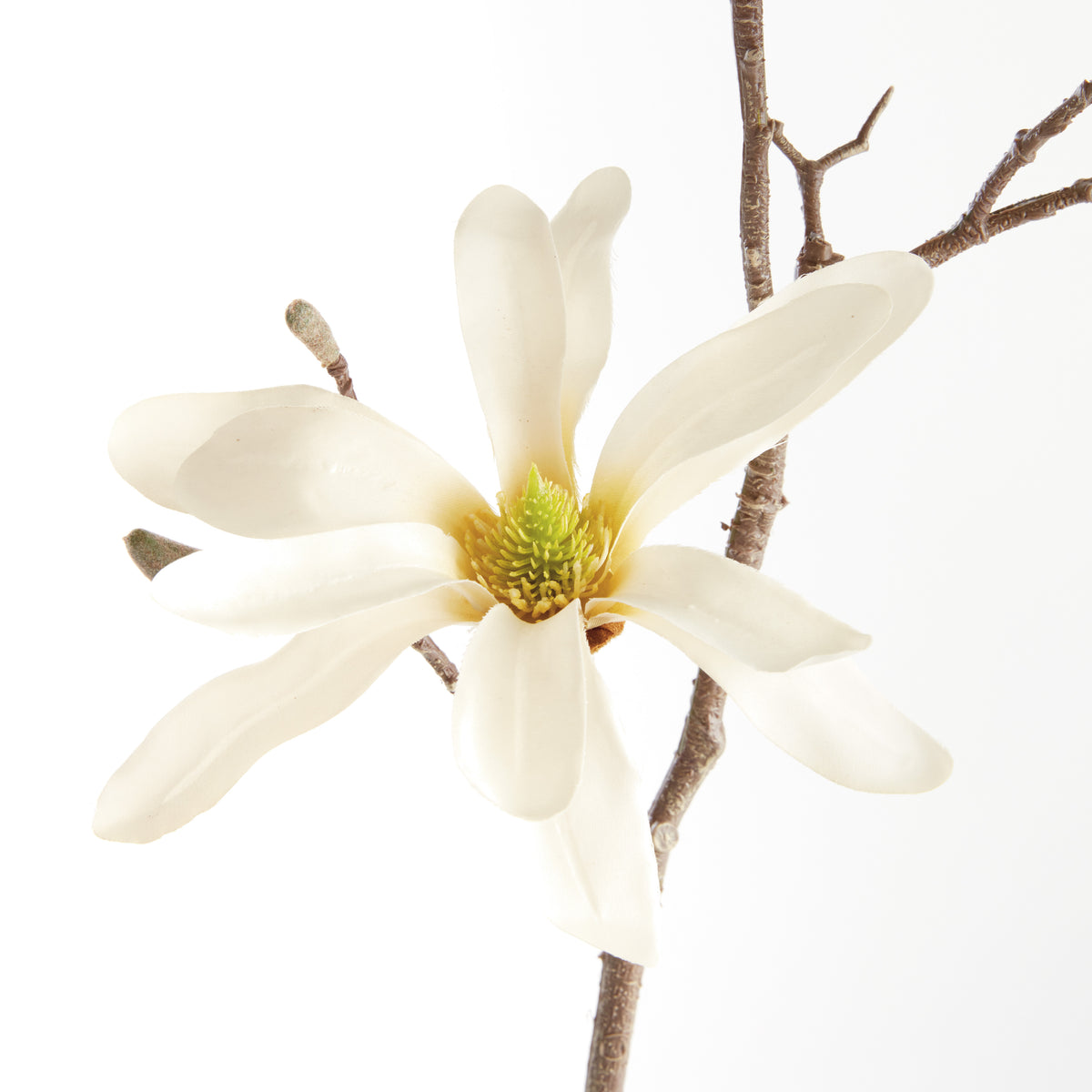 Star Magnolia Branches 32", Set of 6