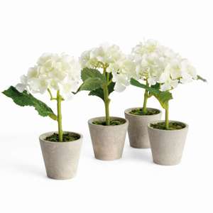 Mini Hydrangea Potted 8", Set of 4 in White