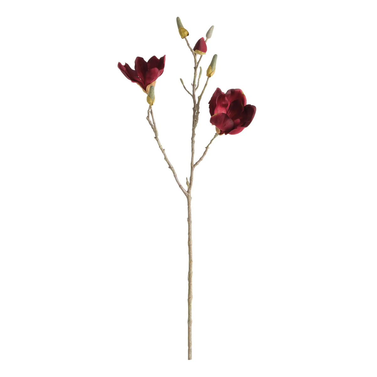 Magnolia Stems 27" Set of 4