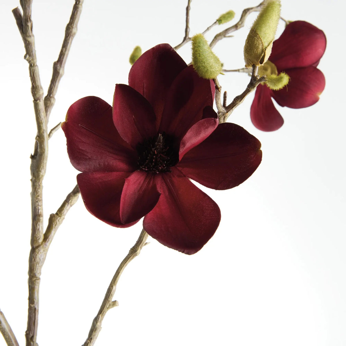 Magnolia Branches 50" Set of 2