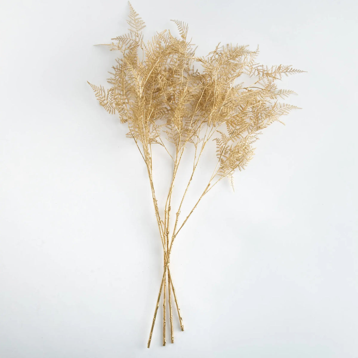 Gilded Fern Stems 36" Set of 4