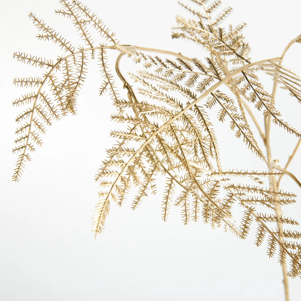 Gilded Fern Stems 36" Set of 4