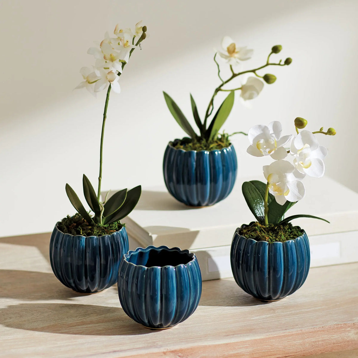 Leanna Mini Pots Set of 4 – Blue
