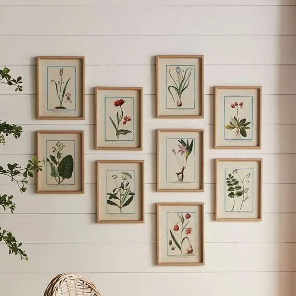 Dainty Flora & Fauna Study - Set of 9 Linen-Wrapped Botanical Prints - Villa Decor & Design