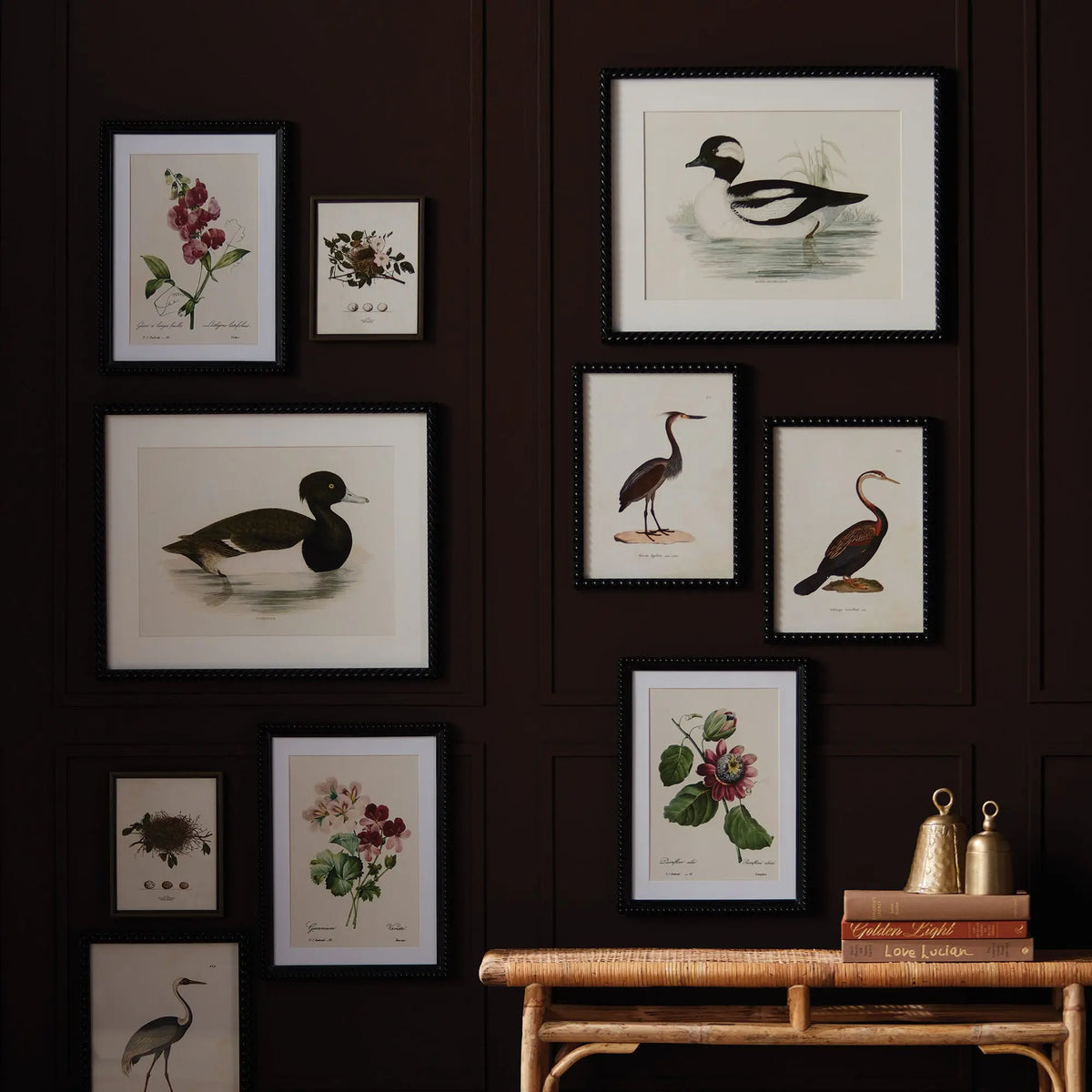Wading Duck Prints Set of 2